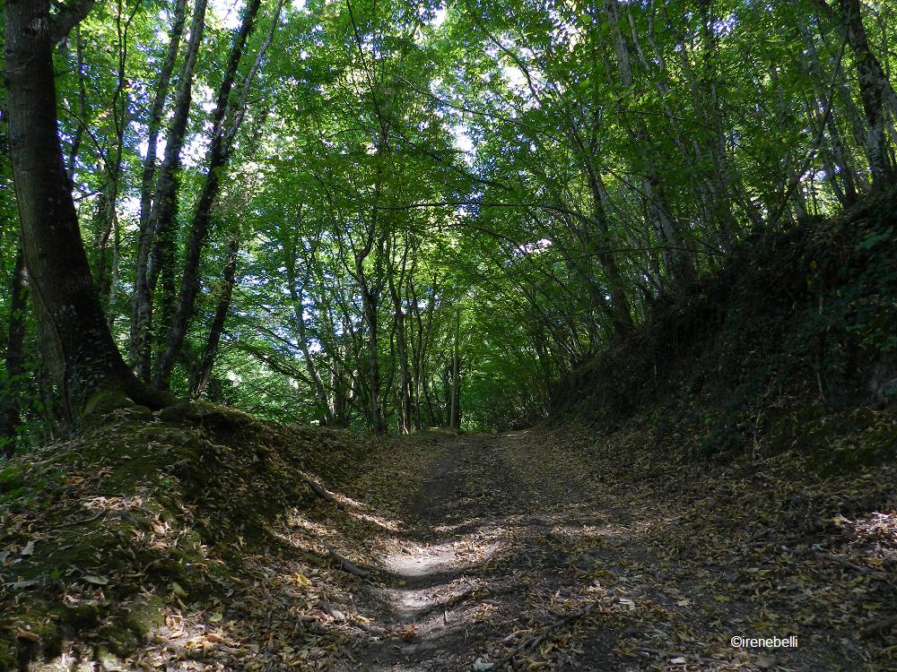 Grosseto Pitigliano Walks Trekking Alla Scoperta Della Citt Del