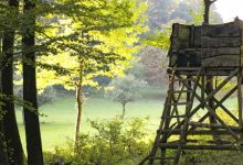 caccia appostamento fisso e1765117213223