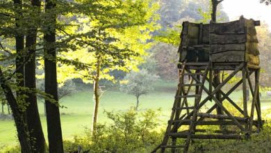 caccia appostamento fisso e1765117213223