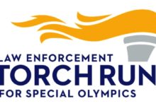 torch run