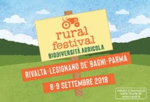 Home Rural Festival e1534922230906