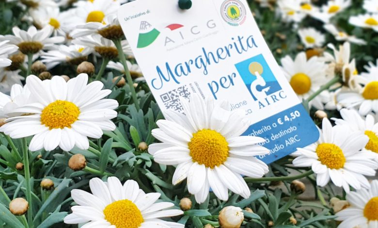 Margherita per Airc 2019