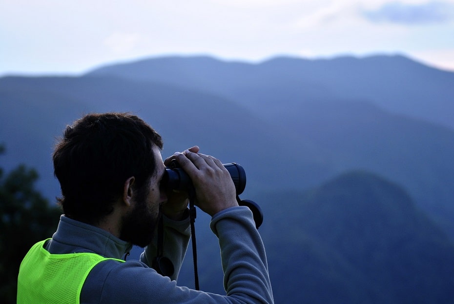 Casentino Uscito Il Bando Per Il Servizio Civile Nel Parco Nazionale Foreste Casentinesi