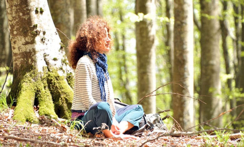 Forest bathing Parco nazionale