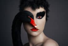 F. Borsi Black swan 2021