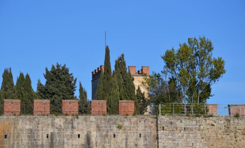 Torre Santa Maria pisa mura