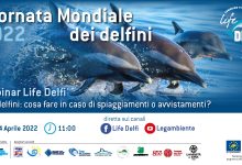 save the data webinar delfi 2022