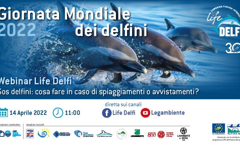 save the data webinar delfi 2022