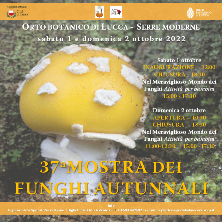 LUCCA - Torna All’Orto Botanico La Mostra Dedicata Ai Funghi Autunnali ...