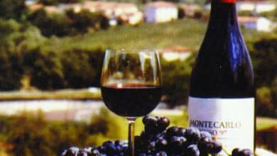 Festa del Vino Montecarlo