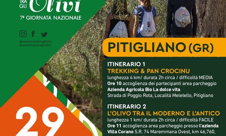JpgLocandina Camminata tra gli olivi Pitigliano ott 2023 page 0001