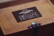 shelley project