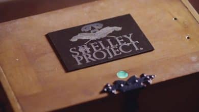 shelley project