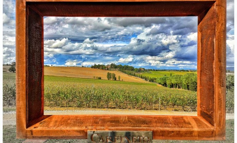 rid quando il paesaggio e unopera darte Tenuta Carpineto a Montepulciano