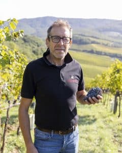 podere capaccia vendemmia 2024