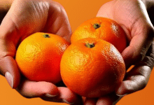 LOCANDINA DONNE CLEMENTINE 2024