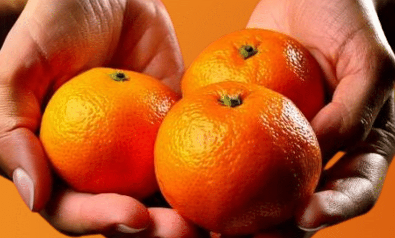 LOCANDINA DONNE CLEMENTINE 2024