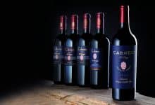 CABREO X 5 orizzontale 1982 22