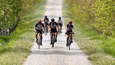 La Chianina La Chianina UBA 7