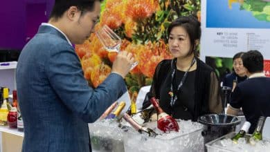wine to asia veronafiere vinitaly
