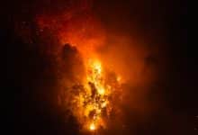 © Israel Vale WWF Brazil 6