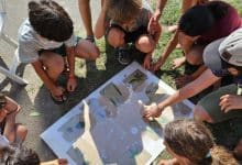 Campi solari san rossore