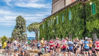 La Chianina Ristoro Fattoria di Brolio 1