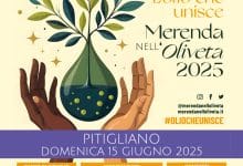 grafica Merenda nelloliveta giu 2025