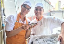 Grosseto, granchi blu della laguna in vendita al Conad per sostenere i pescatori di Orbetello 2 GRANCHIO BLU1 e1752829733761