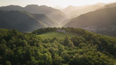 Oasi Dynamo ©Mattia Marasco 0138 web