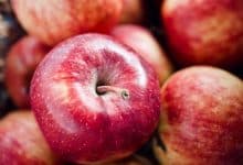 mele agricoltura frutta