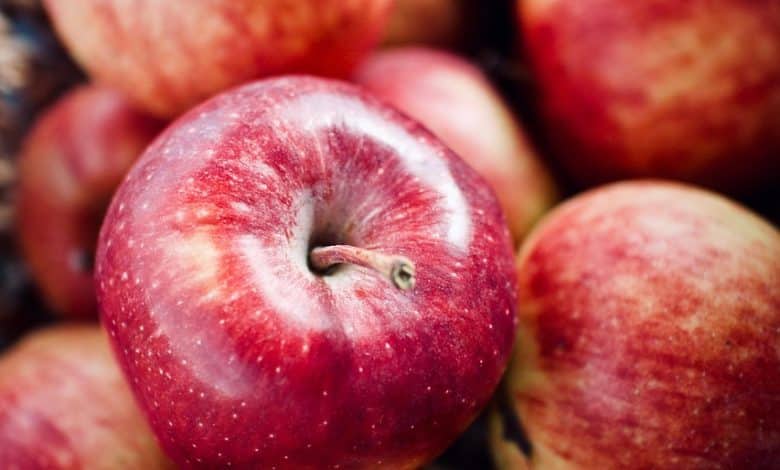 mele agricoltura frutta