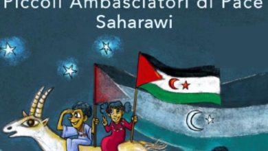 sarawi 3 e1752827543592