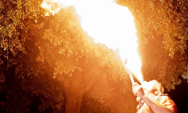 salamarzana fucecchio