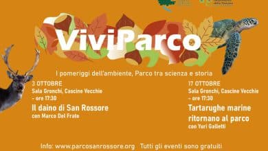 Locandina Viviparco continua