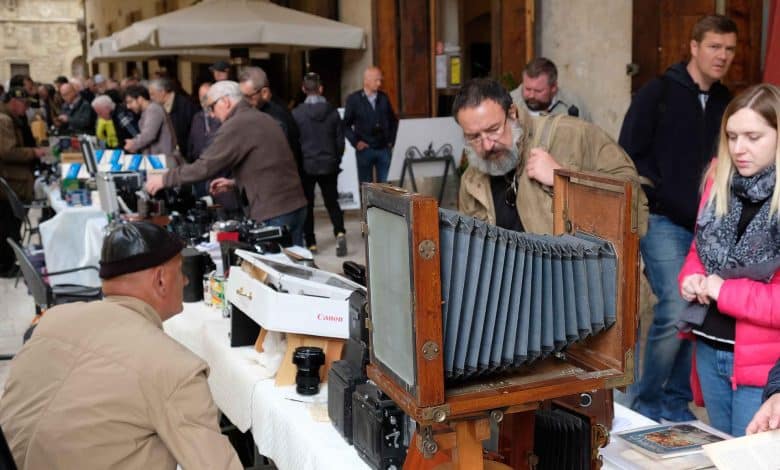 foto antiquaria arezzo