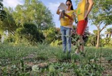 legambiente puliamo mondo scaled e1758200544681