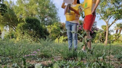 Puliamo il Mondo 2025: tante iniziative di pulizia di parchi, città e strade in Toscana 13 legambiente puliamo mondo scaled e1758200544681