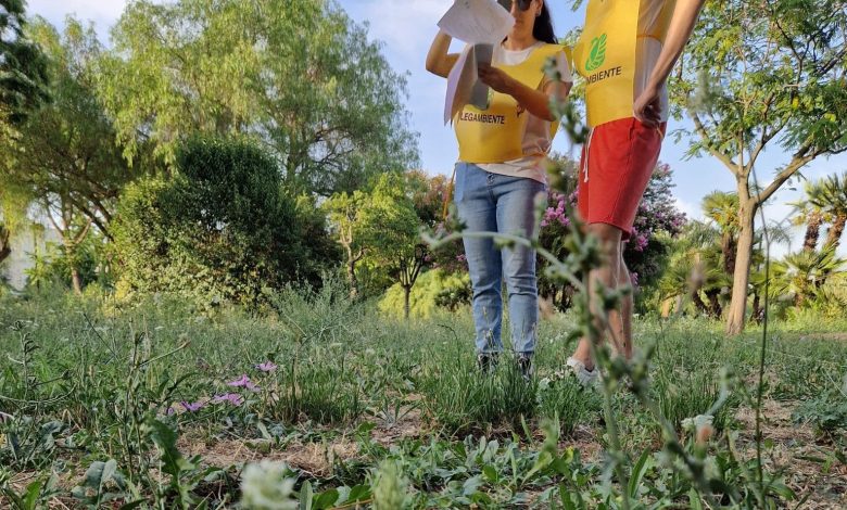 legambiente puliamo mondo scaled e1758200544681