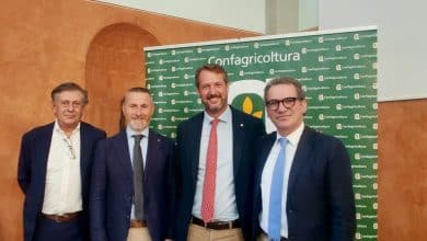 Giannozzi Tocchi Bartolini Cavicchioli