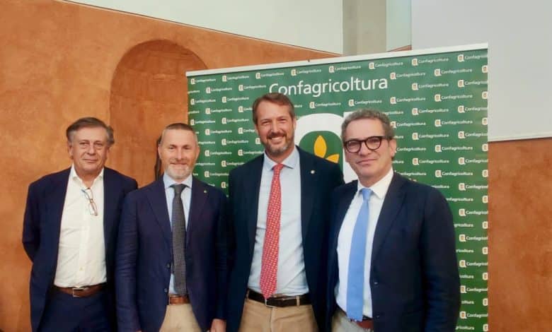 Giannozzi Tocchi Bartolini Cavicchioli