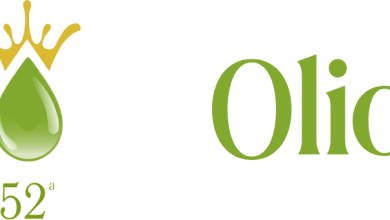 REOLIO LOGO