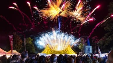 hc carnival fuochi artificio