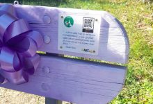 panchina viola parco via goito