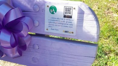 panchina viola parco via goito