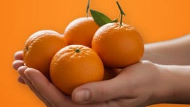 LOCANDINA CLEMENTINE NELLE PIAZZE ITALIANE 2025