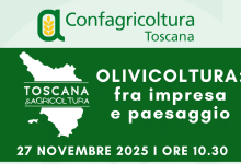 TOSCANA AGRICOLTURA 27 novembre e1764001192608