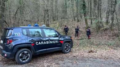 carabinieri montalcino