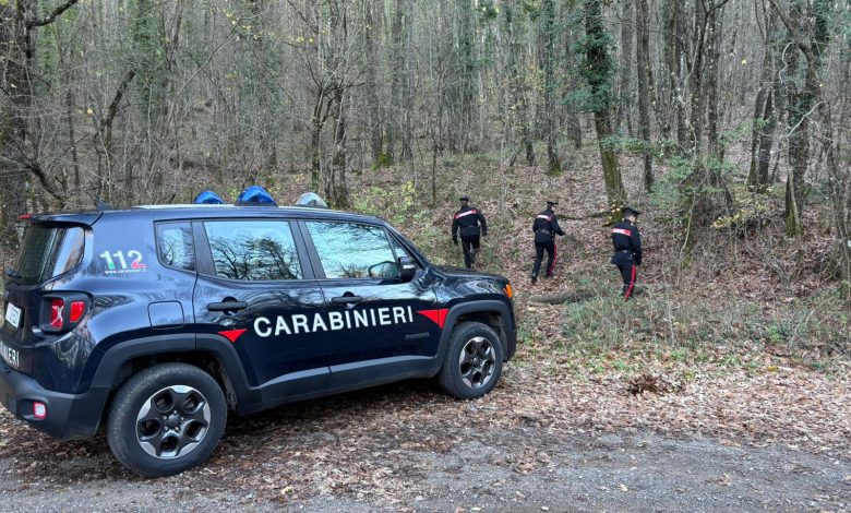 carabinieri montalcino