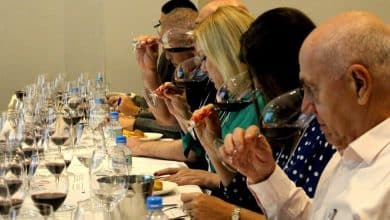 consorzio chianti brasile